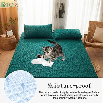 LuxeOrbit 100% Waterproof Quilted Fitted Bed Sheet with Elastic Band Soft Mattress Protector Cover Twin Queen King 160x200cm Home Decor