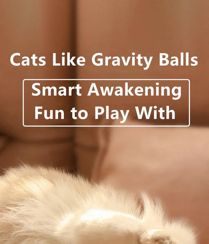 LuxeOrbit Spin Ball Things for Cats Toys Electric Interactive USB Charging Cat Ball Toy Cat and Dog Accessories Pet Cat's Supplies Home