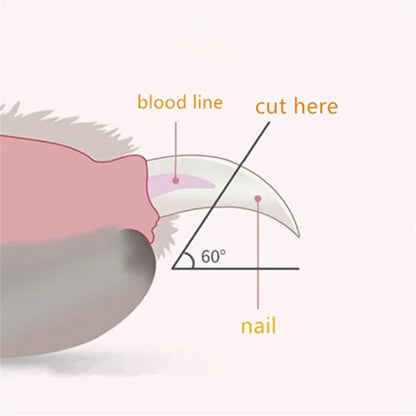 LuxeOrbit Pet Grooming Led Cat Dog Nail Clippers Clipper For Animals Nail Supplies Professionals Nail File Rabbit Cat Trimmer Dogs Clipper