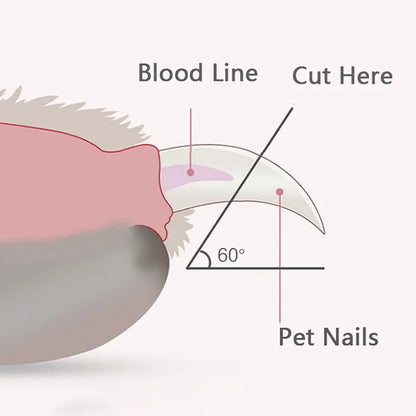 LuxeOrbit Professional Pet Nail Clippers with Led Light Pet Claw Grooming Scissors for Dogs Cats Small Animals Paw Nail Trimmer Pet Supply